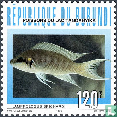Fische vom Tanganjka-See