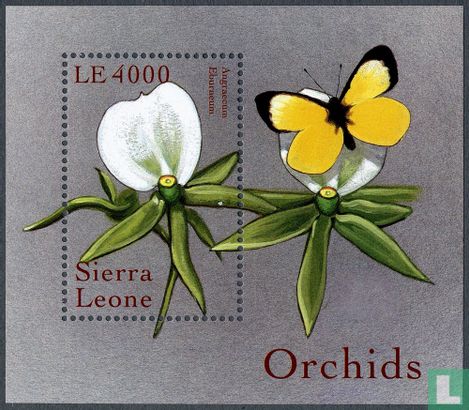 Orchideeën van over de hele wereld