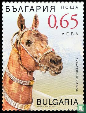 Akhal-Teke paard