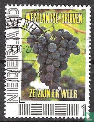 Western grapes