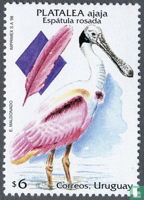 Roseate spoonbill