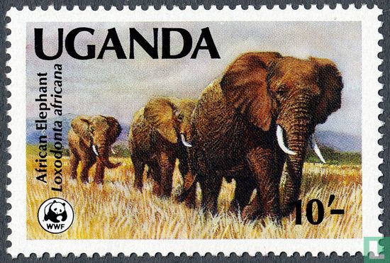 Afrikaanse Olifanten