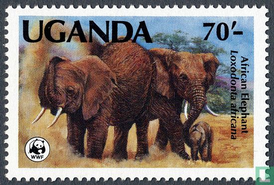 Afrikaanse Olifanten
