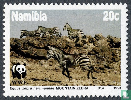 WWF-Hartmann Mountain zebra 