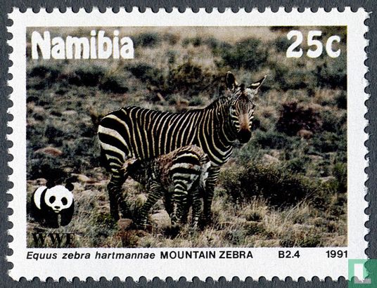 WWF-Hartmann Mountain zebra 