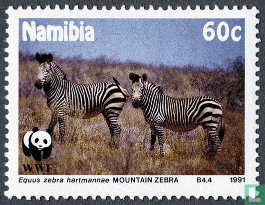 WWF-Hartmann Mountain zebra  