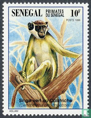Primaten von Senegal