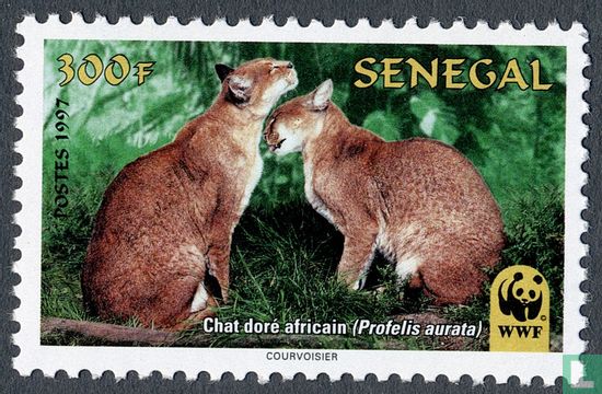 Weltweiter Naturschutz: Afrikanische Goldkatze