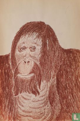 Orang oetan - Afbeelding 1