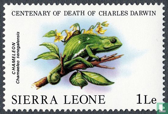 100e anniversaire de la mort de Charles Darwin : les reptiles