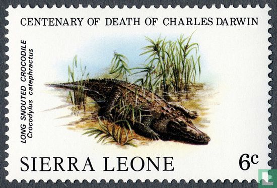 100e anniversaire de la mort de Charles Darwin : les reptiles