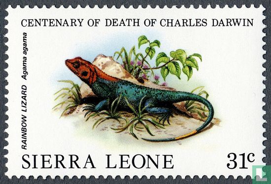 100. Todestag von Charles Darwin: Reptilien
