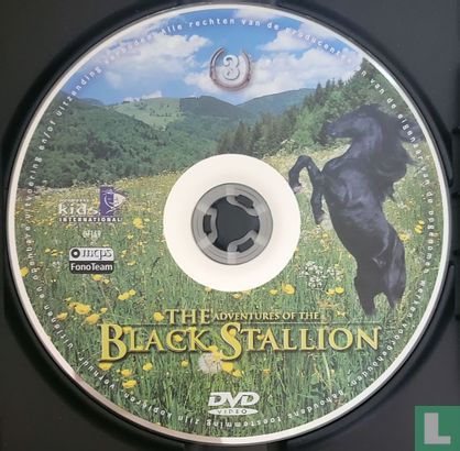The Adventures of the Black Stallion 3 - Image 3