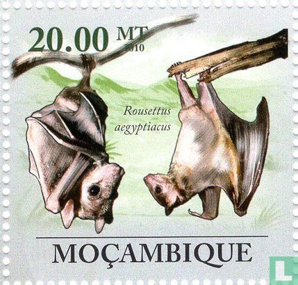 Environmental protection - Bats