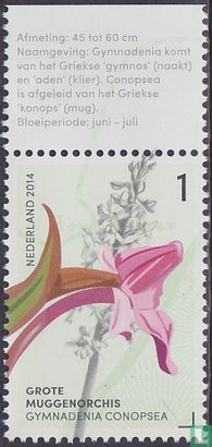 Orchids of the Gerendal   - Image 2
