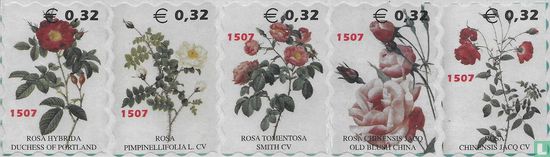 Roses I (1507)