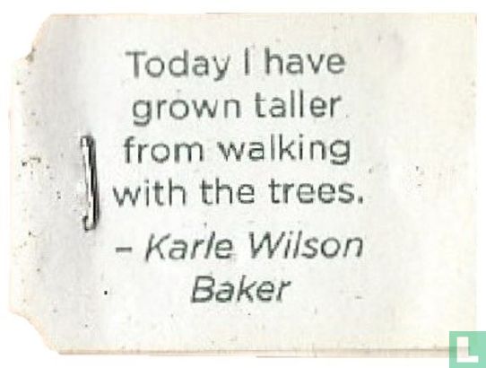 Today I have grown taller from walking with the trees.  - Karle Wilson Baker - Afbeelding 1