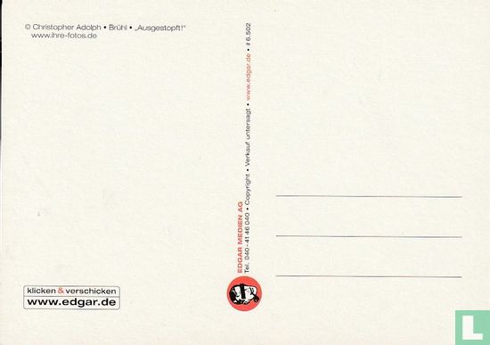 06502 - Christopher Adolph 'Ausgestopft' - Afbeelding 2
