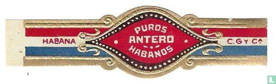 Antero Puros Habanos - C.G. y Cª - Habana  - Bild 1