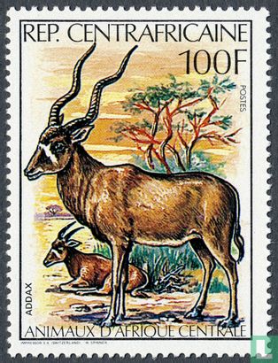 Animaux d'Afrique centrale