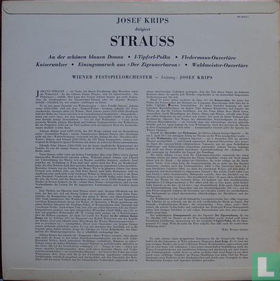 Ein Strauss Konzert - Afbeelding 2