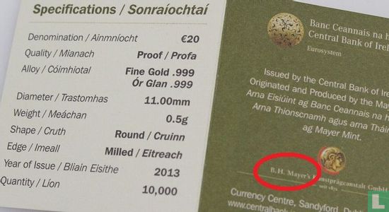 Ierland 20 euro 2013 (PROOF) "Medieval Irish architecture - The Rock of Cashel" - Afbeelding 3