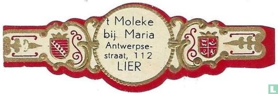 't Moleke bij Maria Antwerpse-straat, 112 LIER - Afbeelding 1