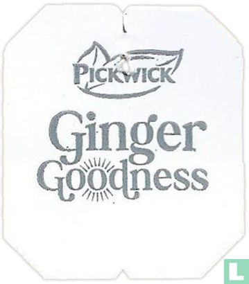Ginger Goodness - Afbeelding 1