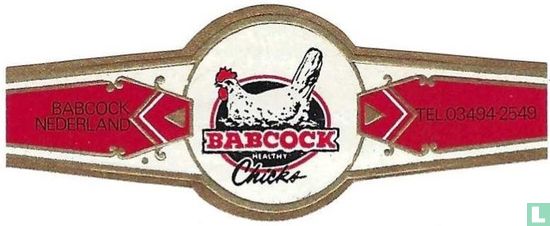 Babcock Healthy Chicks - BABCOCK NEDERLAND - TEL. 03494-2549 - Afbeelding 1