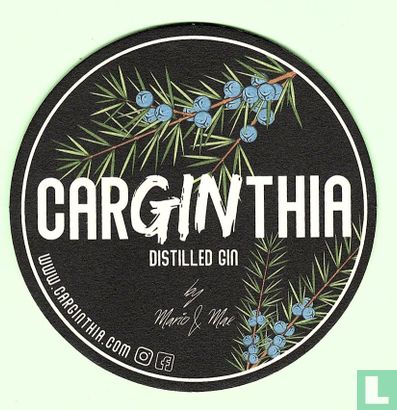 Carginthia - Afbeelding 2