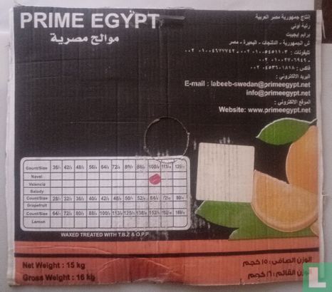 Prime Egypt Navel.