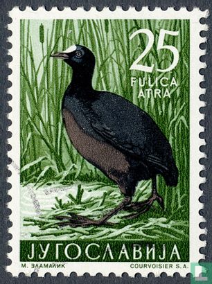 Yougoslave faune-oiseaux 