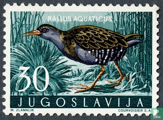 Jugoslawische Tierwelt-Vögel