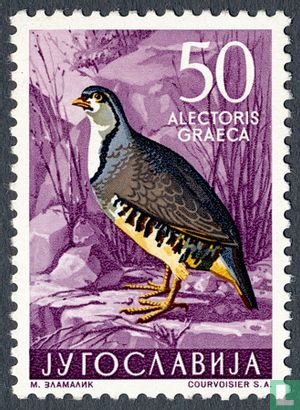 Yougoslave faune-oiseaux