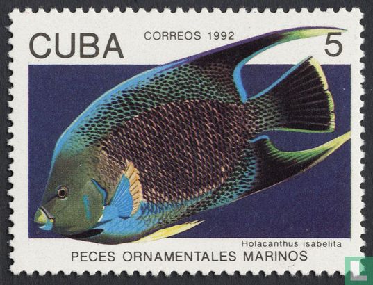 Ornamental marine fish