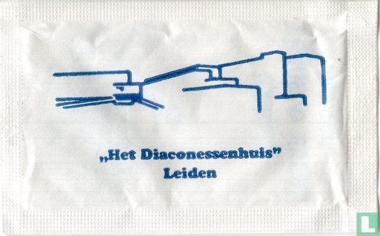 "Het Diaconessenhuis" Leiden - Afbeelding 1