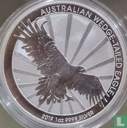 Australia 1 dollar 2019 "Australian wedge-tailed eagle" - Image 1