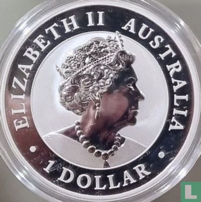 Australië 1 dollar 2019 "Australian wedge-tailed eagle" - Afbeelding 2