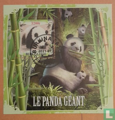 pandas