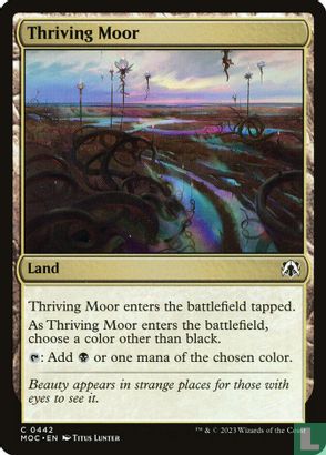 Thriving Moor - Bild 1