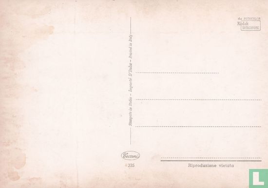 Jong stel in tuin - Platenspeler - Radio - grammofoonplaatjes - Image 2