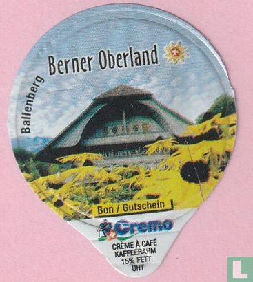 Berner Oberland 03