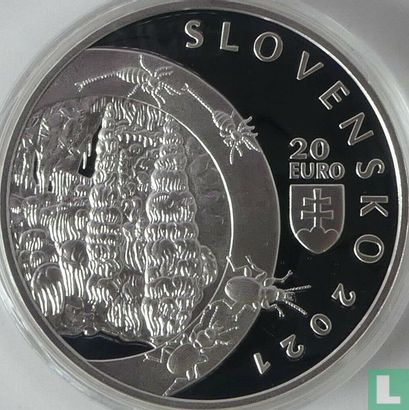 Slovakia 20 euro 2021 (PROOF) "100th anniversary Discovery of the Demänovská cave of liberty" - Image 1