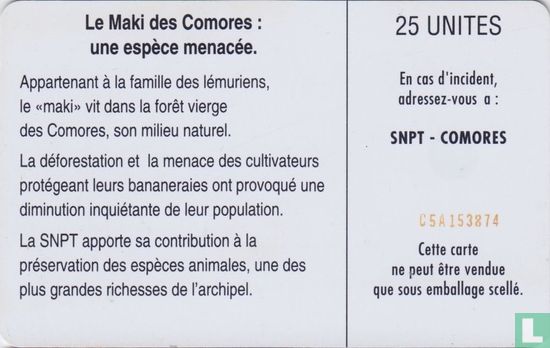 Le Maki des Comores - Image 2