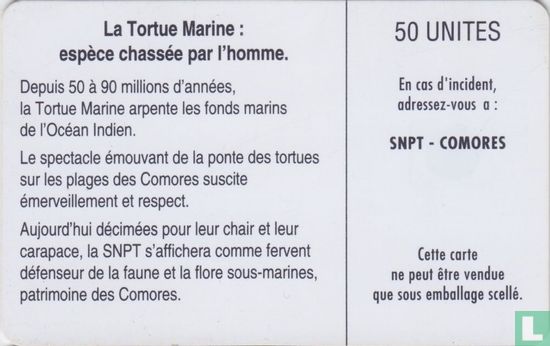 La tortue Marine - Image 2