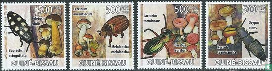 Coléoptères et champignons
