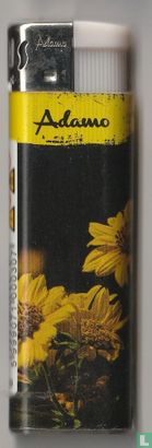 Zonnebloemen - Afbeelding 1