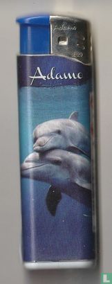 Dolfijnen - Afbeelding 2
