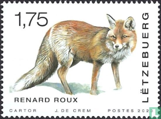 Renard rouge