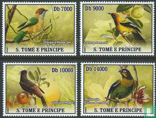 Birds